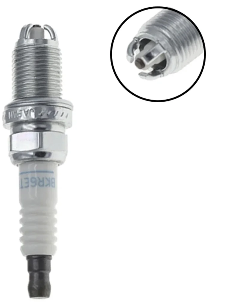 بواجي أصلي بالحبة.webp